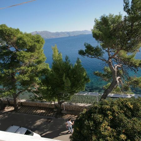 Apartments Tedeschi Korcula Town Exterior photo